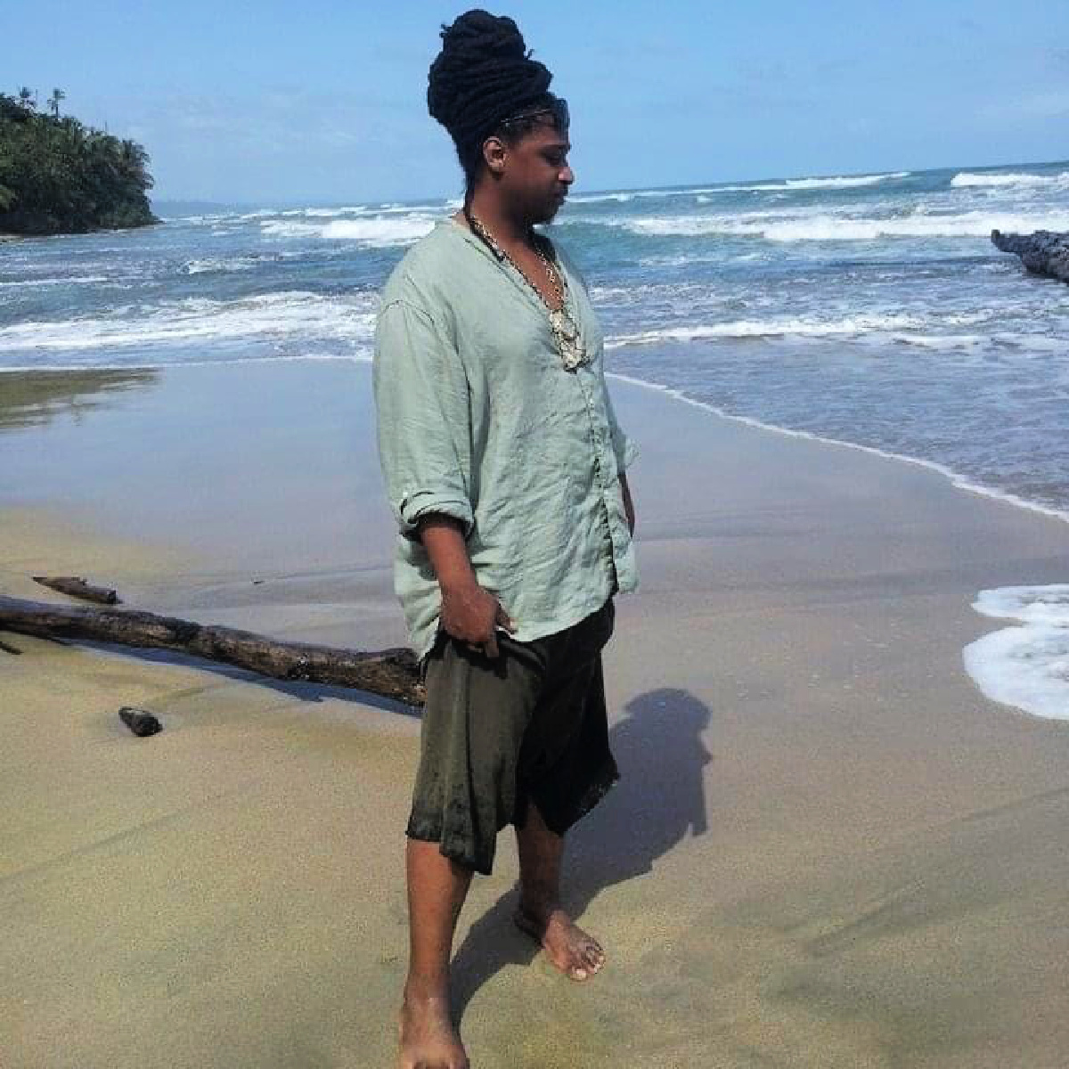 Ras Tree Costa Rica Caribbean Coastline